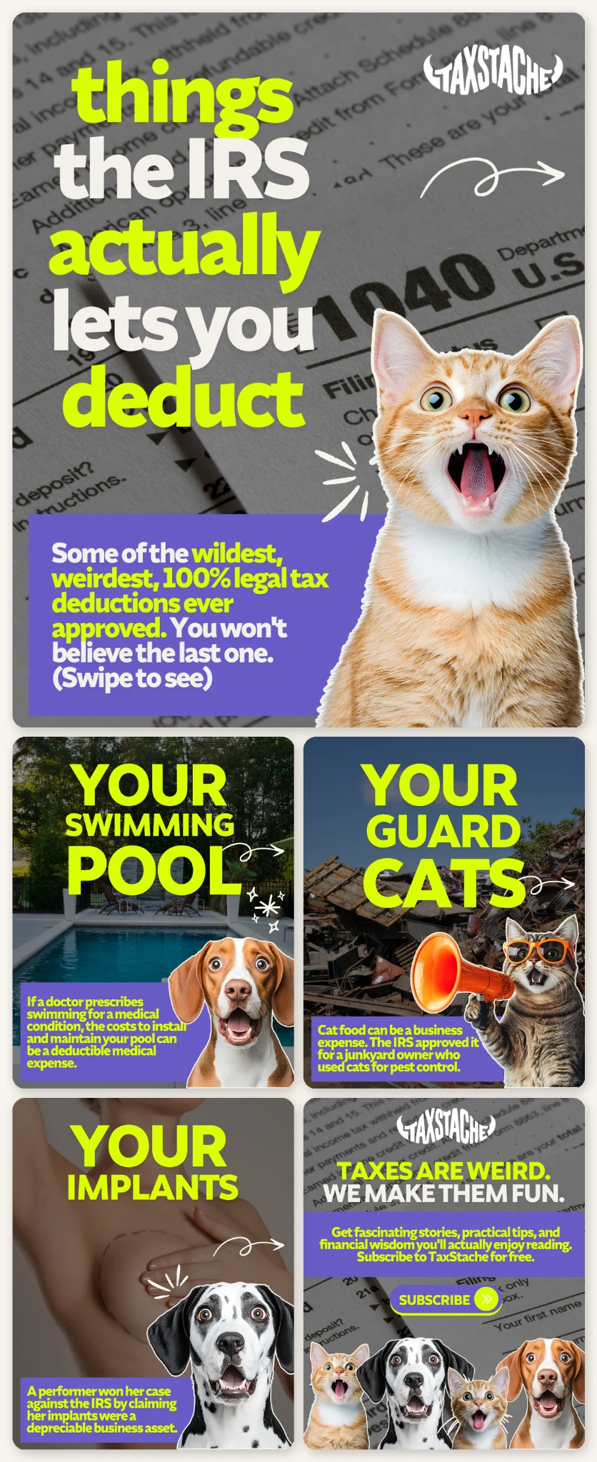 TaxStache wild deductions campaign