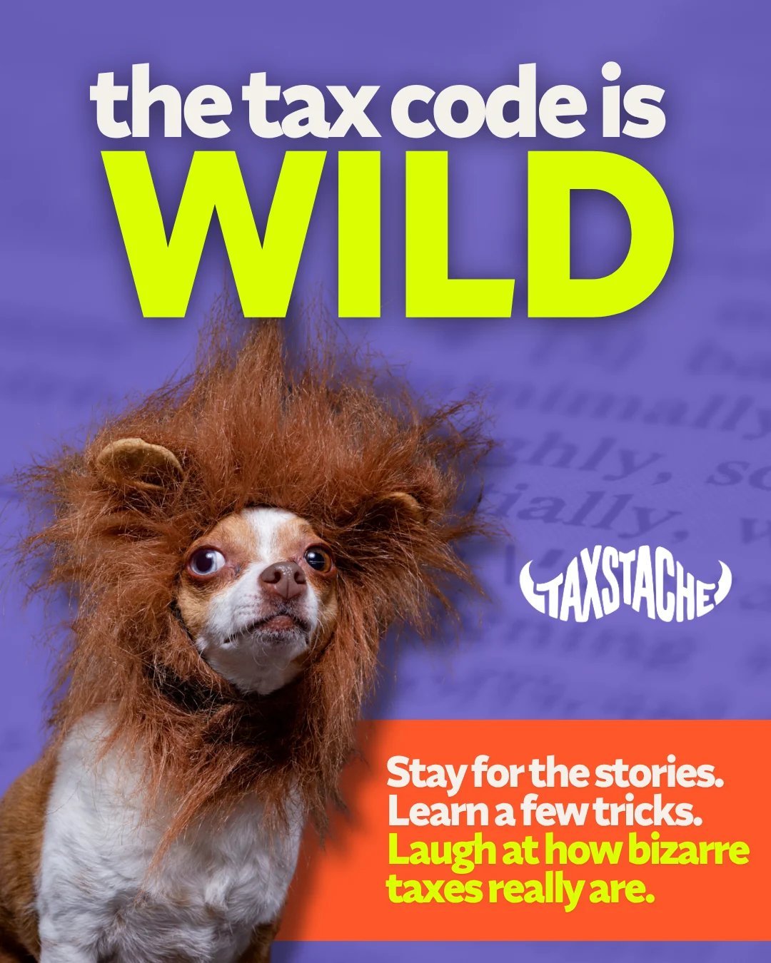 The tax code is wild